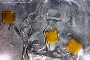 Kapton