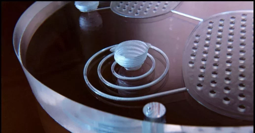 Microfluidics: The Evolution from PDMS to Thermoplastics for Enhanced Scalability and Cost-Effectiveness