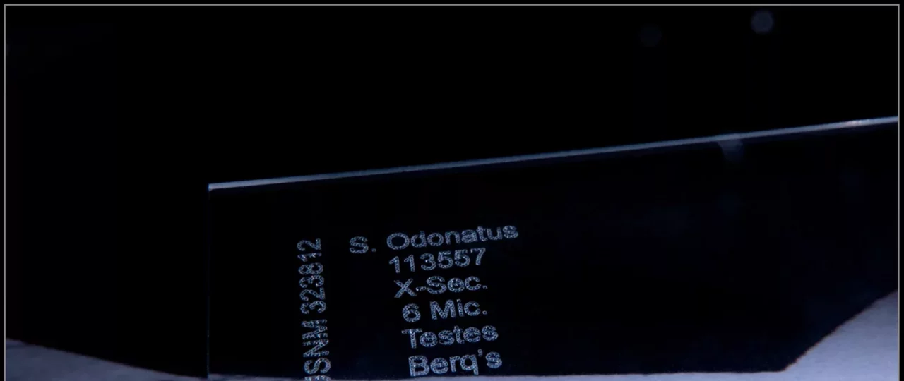 Laser Mark Glass Slide