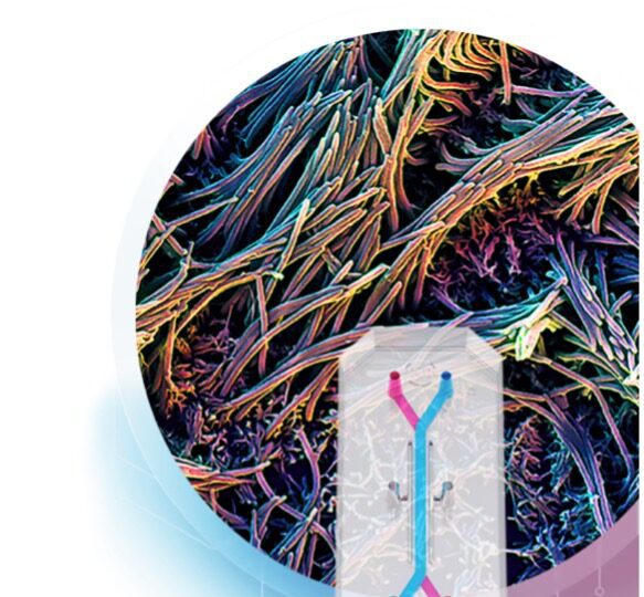 New FDA Drug-testing Guidelines Open Door for Use of Data