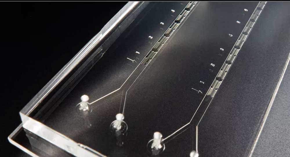 New NIST Heart on a Chip Microfluidic Platform Speeds Drug Discovery & Commercialization