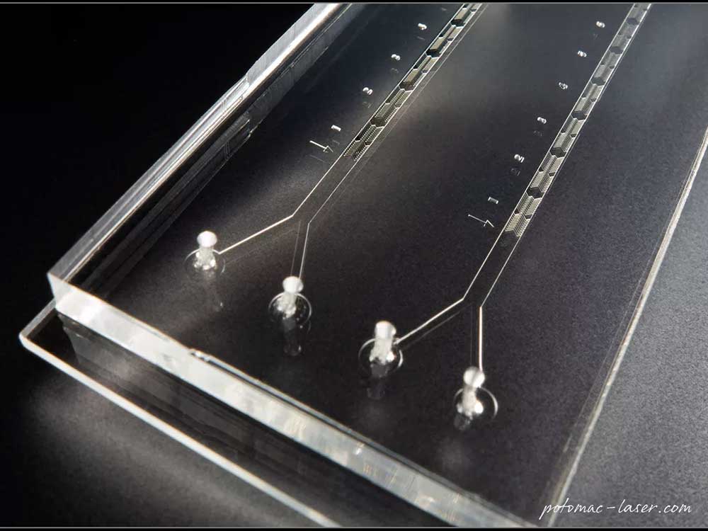 New NIST Heart on a Chip Microfluidic Platform Speeds Drug Discovery & Commercialization